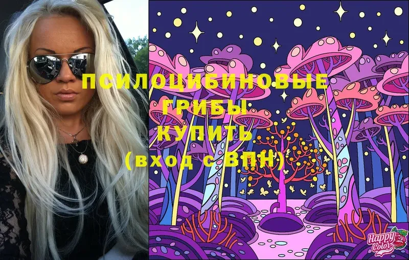 где найти   Бабаево  Галлюциногенные грибы Cubensis 